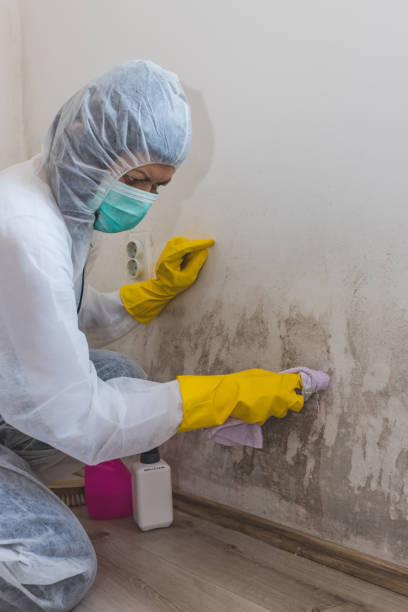 Forensic Mold Investigation in Ivey, GA