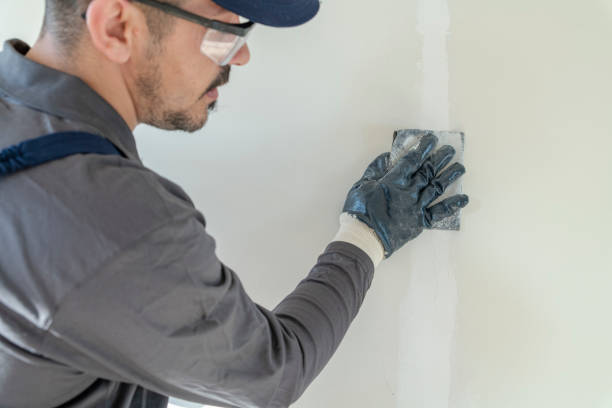 Ivey, GA Mold Removal Pros