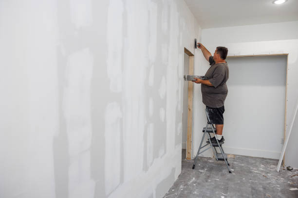 Best Mold Remediation for Healthcare Facilities  in Ivey, GA